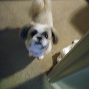 Meet your Posher, Claudia